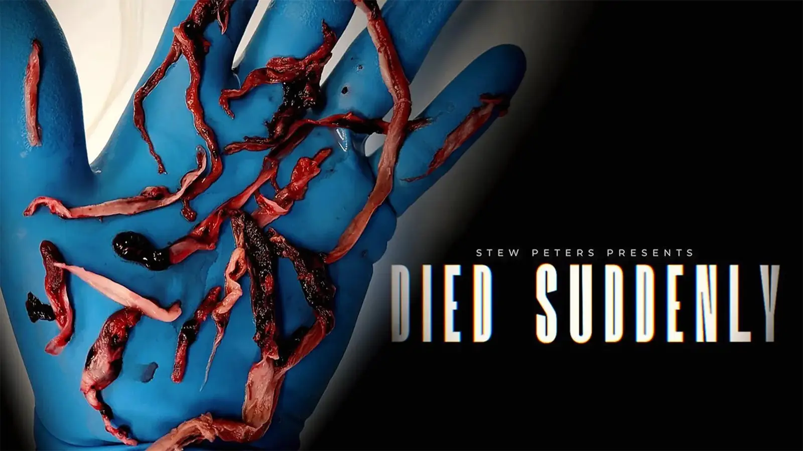 Died Suddenly Full Film Free