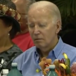 Sleepy Pedo Joe Strolls Into Maui 13 Days After It Was Destroyed By Design