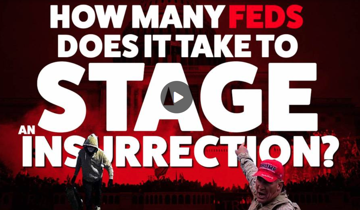 How Many FEDs Does It Take To Stage an Insurrection?